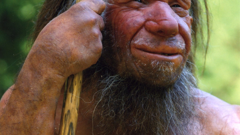 Homo sapiens neanderthalensis-Mr. N (Ausschnitt)©Neanderthal Museum