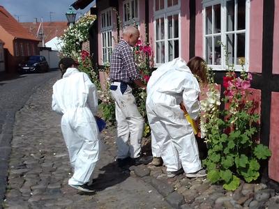 Undervisning