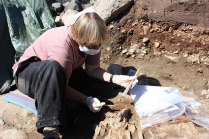 Jette Arneborg udtager prøver af skelet til naturvidenskabelige analyser ved nordbogård Ø64 i Igaliku Fjord.