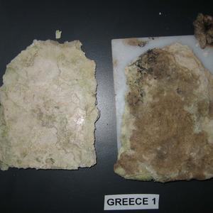 Plastetiketten har ligget i vandet i Grækenland og nu vokser der svampe på overfladen