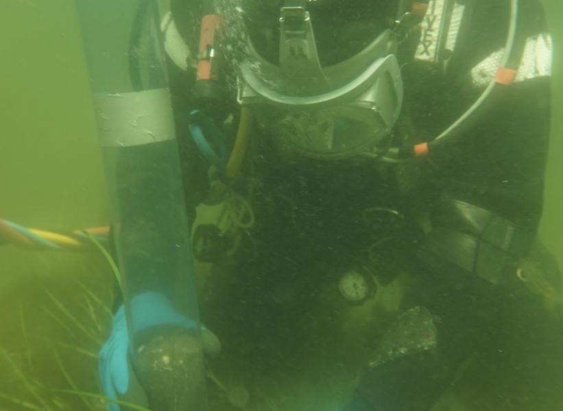 Nyt forskningsprojekt i NJORD: Sed2Sust