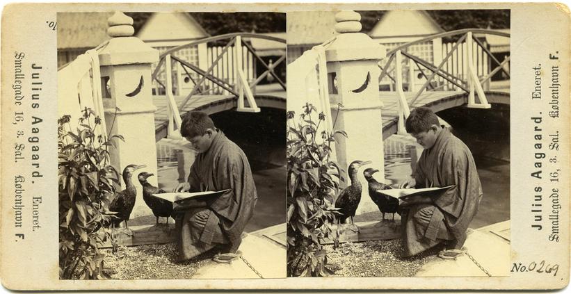 Det var billeder af japanere som denne, der lærer sig selv engelsk i sin fritid, der frustrerede mange af Zoologisk Haves publikum. De var kommet for at se en fjern og ufordærvet kultur og ikke et moderne og civiliseret folk som deres eget.