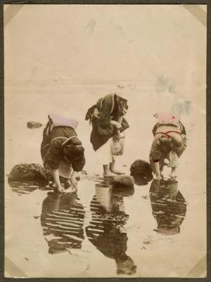 Japanske kvinder der 'fisker' (leder efter tang).