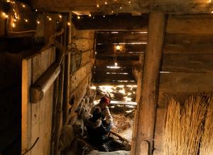 Jul på Frilandsmuseet