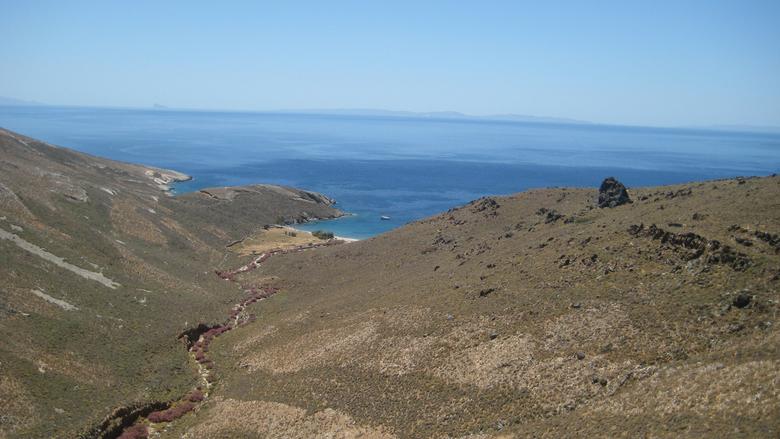 Kampos på Syros