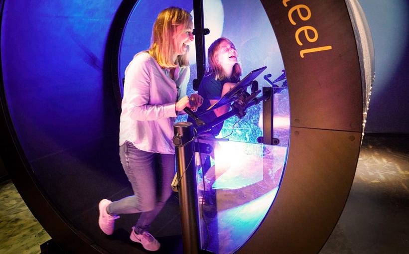 Undersøgelser og rapporter