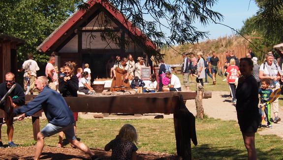 Vikingesommer