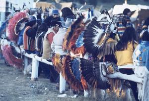 Natquiz - Find Powwow i din hverdag