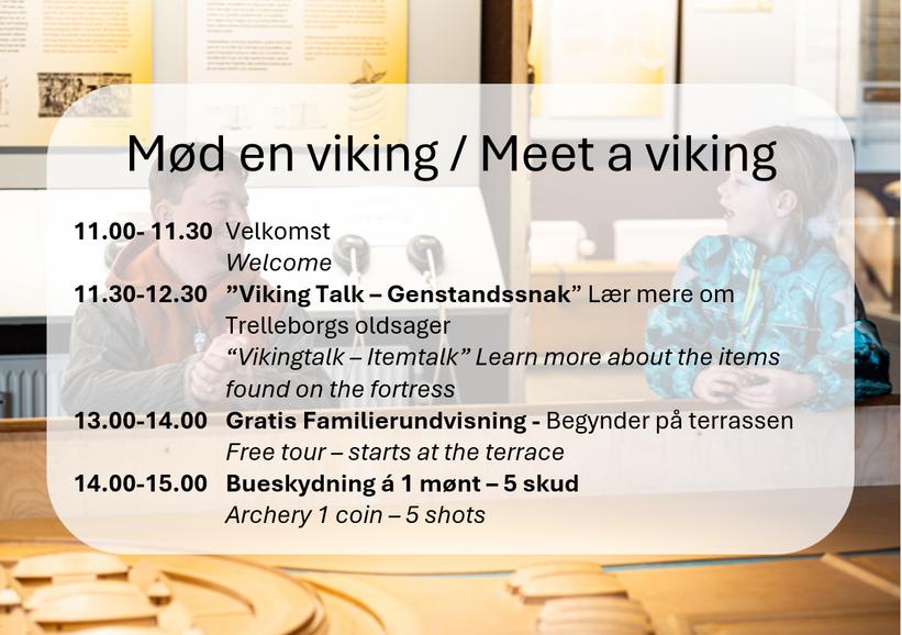 Mød en viking