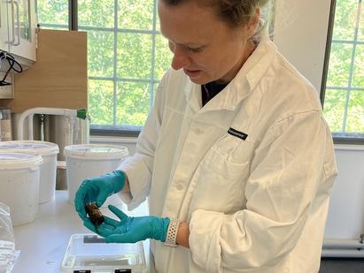 Nyt forskningsprojekt i NJORD: Sed2Sust