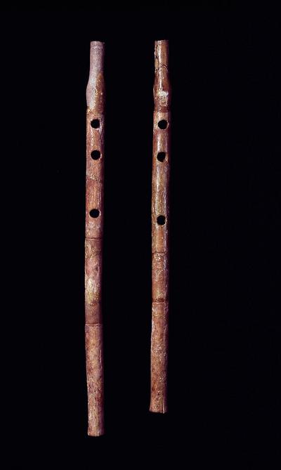 To fløjter lavet af ben fra Nationalmuseets Antiksamling.