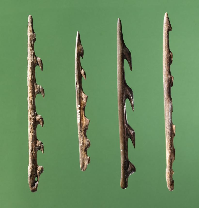 Harpuner fra Tømmerup Mose, Løjesmølle og Skellingsted Mose.
Foto: Arnold Mikkelsen, Nationalmuseet. Harpunerne