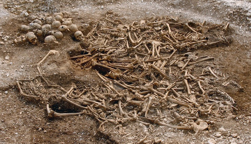 Massegrav fra Weymouth i England. De 51 begravede krigere i graven var blevet halshugget og kranierne stablet i den ene ende af graven. De henrettede mænd havde tydelige tegn på skader fra skarpe våben og slag. Foto: Dorset County Council/Oxford Archaeology. 