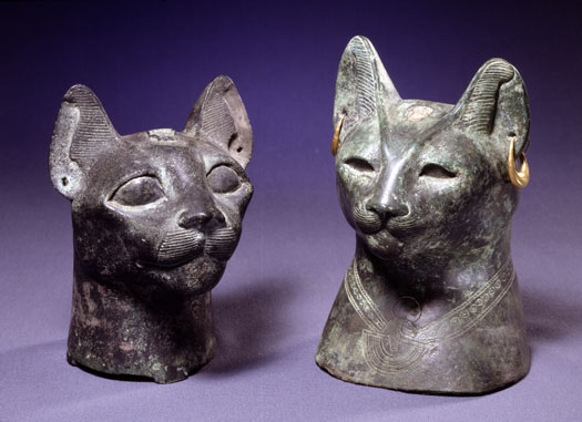 overdrivelse Sløset Kilde Katte i oldtiden