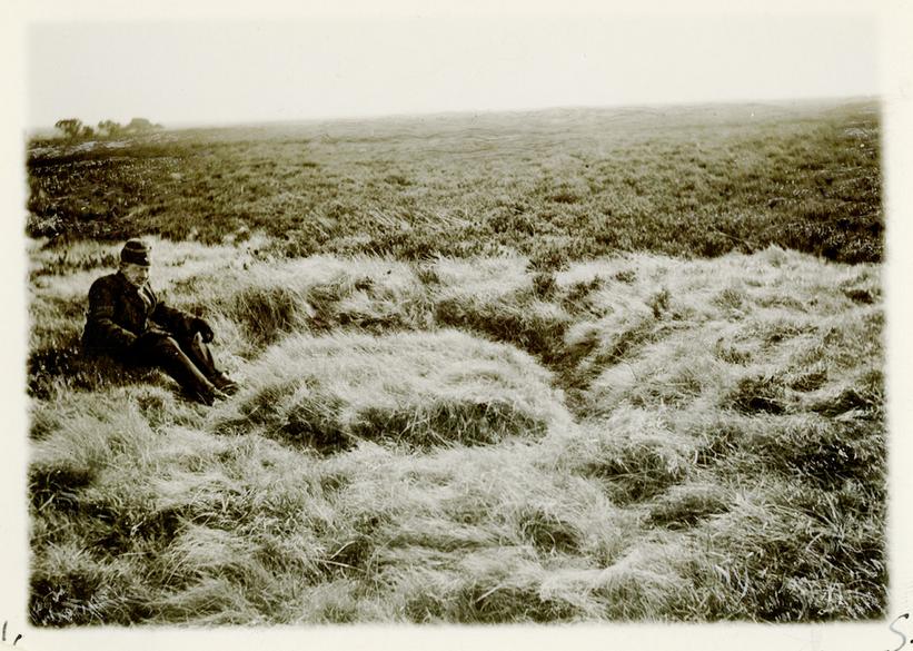 Foto som viser en mark med fordybninger, som har rummet en pinsebod