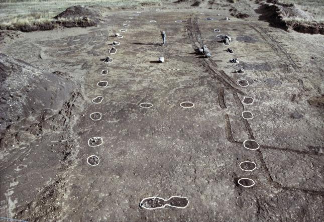 Vikingernes Blót - Offerritualer Og Gaveudveksling